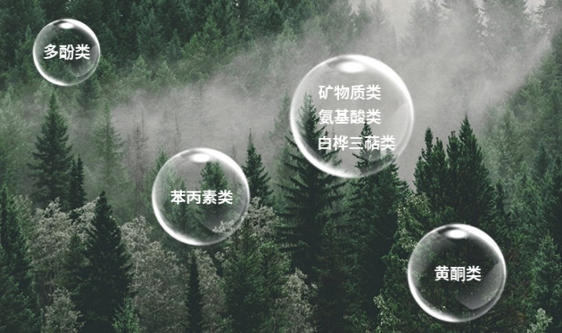 微信图片_2026051511261414_10.jpg