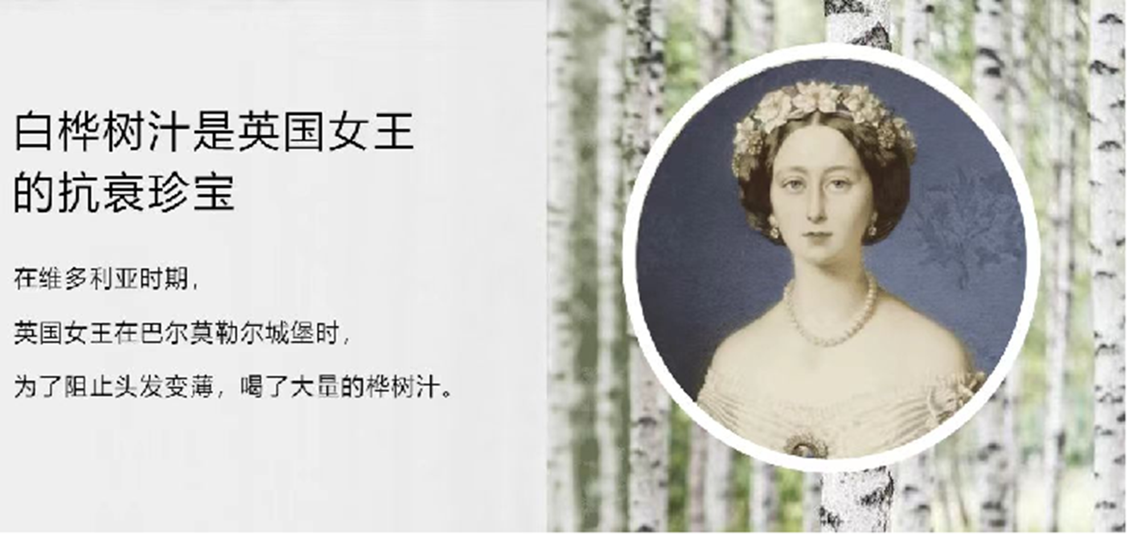 微信图片_2026051511291622_24.jpg